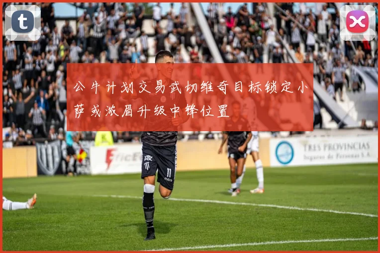 公牛计划交易武切维奇目标锁定小萨或浓眉升级中锋位置