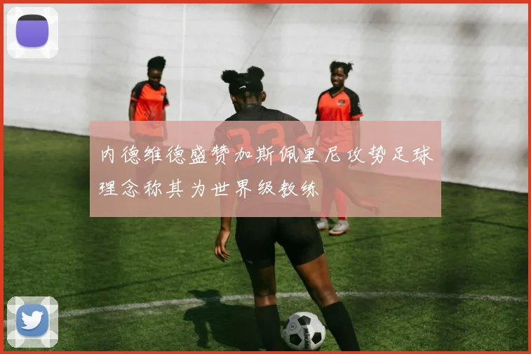 内德维德盛赞加斯佩里尼攻势足球理念称其为世界级教练
