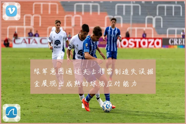 绿军意图通过夹击穆雷制造失误掘金展现出成熟的球场应对能力