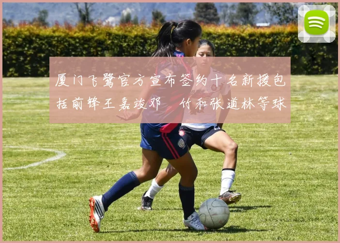 厦门飞鹭官方宣布签约十名新援包括前锋王嘉竣邓棽竹和张道林等球员