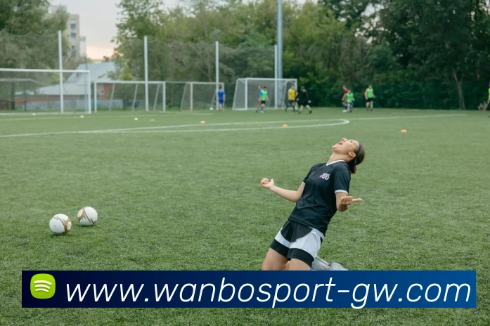 万博体育平台生态图